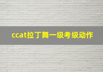 ccat拉丁舞一级考级动作