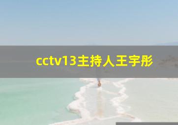 cctv13主持人王宇彤