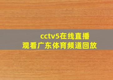 cctv5在线直播观看广东体育频道回放