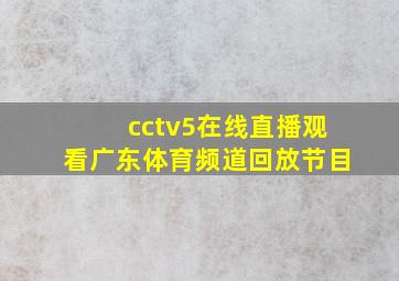 cctv5在线直播观看广东体育频道回放节目