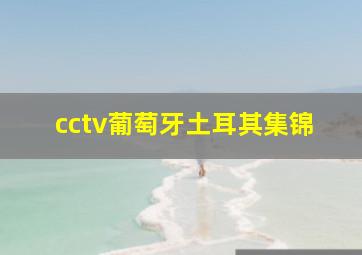 cctv葡萄牙土耳其集锦