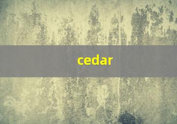 cedar