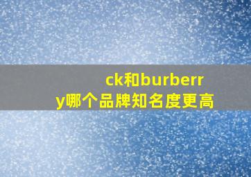 ck和burberry哪个品牌知名度更高