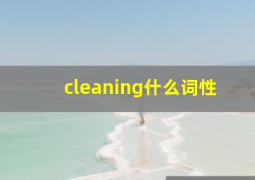 cleaning什么词性