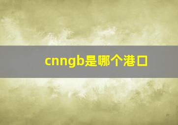 cnngb是哪个港口