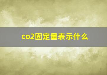 co2固定量表示什么