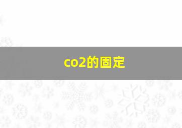 co2的固定