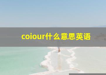 coiour什么意思英语