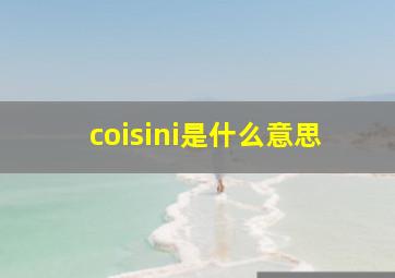 coisini是什么意思