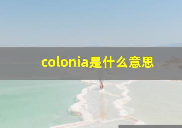 colonia是什么意思