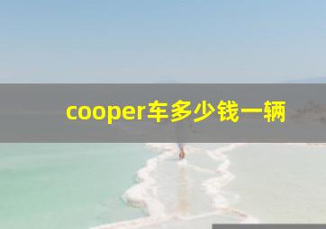 cooper车多少钱一辆