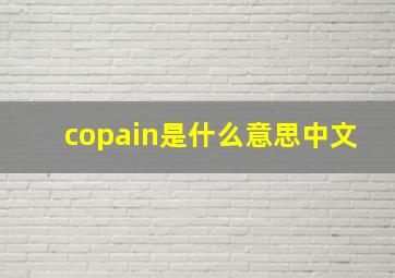 copain是什么意思中文