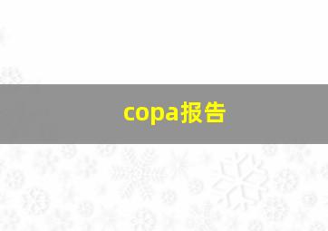 copa报告