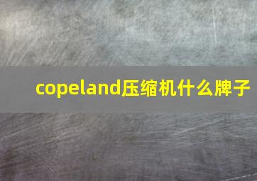 copeland压缩机什么牌子