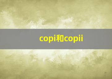 copi和copii