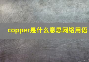 copper是什么意思网络用语