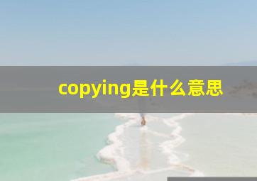 copying是什么意思