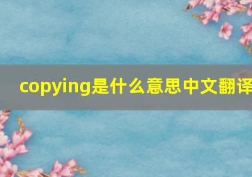 copying是什么意思中文翻译