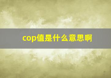 cop值是什么意思啊