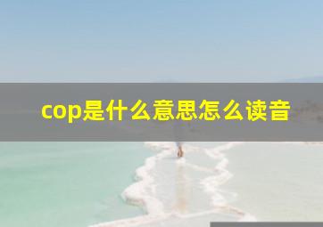 cop是什么意思怎么读音