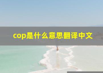 cop是什么意思翻译中文