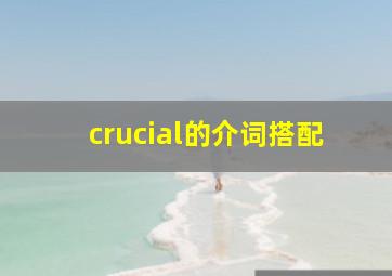 crucial的介词搭配