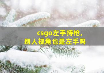 csgo左手持枪,别人视角也是左手吗