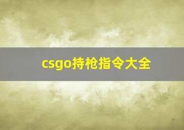 csgo持枪指令大全