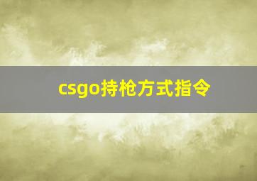 csgo持枪方式指令