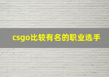 csgo比较有名的职业选手