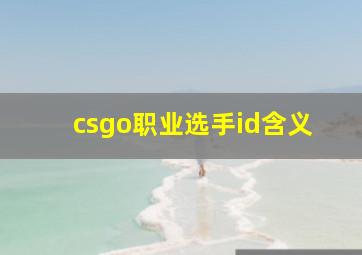 csgo职业选手id含义