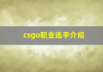 csgo职业选手介绍