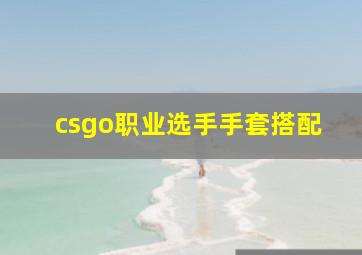 csgo职业选手手套搭配