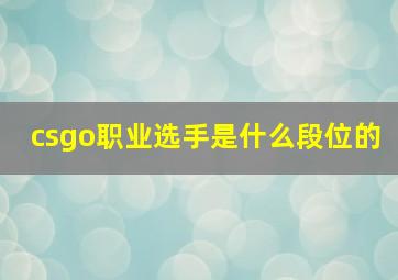 csgo职业选手是什么段位的