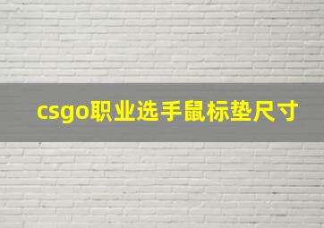 csgo职业选手鼠标垫尺寸