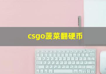 csgo菠菜翻硬币