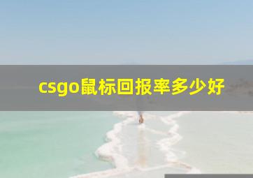 csgo鼠标回报率多少好