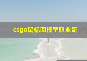 csgo鼠标回报率职业哥