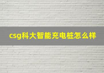 csg科大智能充电桩怎么样