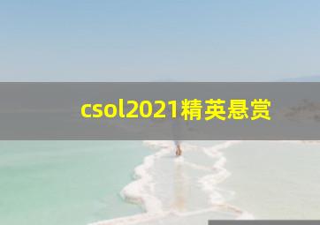 csol2021精英悬赏