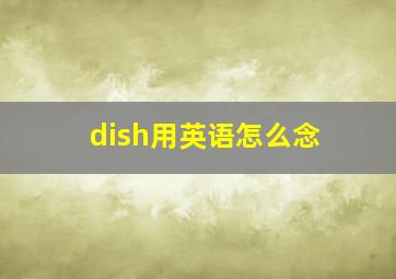 dish用英语怎么念