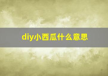 diy小西瓜什么意思