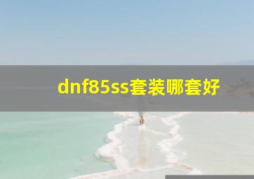 dnf85ss套装哪套好