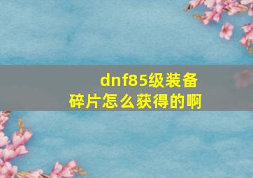 dnf85级装备碎片怎么获得的啊