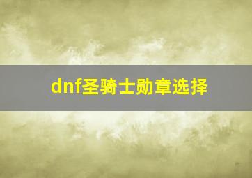 dnf圣骑士勋章选择