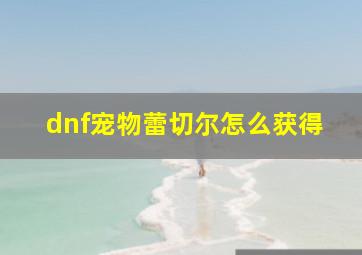 dnf宠物蕾切尔怎么获得