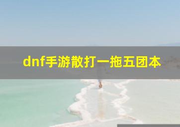 dnf手游散打一拖五团本