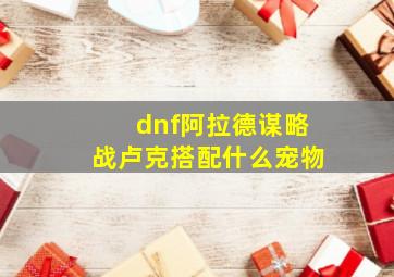 dnf阿拉德谋略战卢克搭配什么宠物