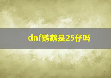 dnf鹦鹉是25仔吗