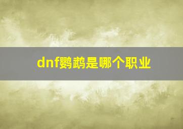 dnf鹦鹉是哪个职业